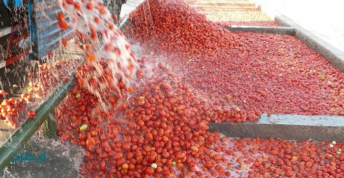 قیمت رب گوجه فرنگی اسپتیک + پخش تولیدی عمده کارخانه
